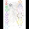 Figure-11.png